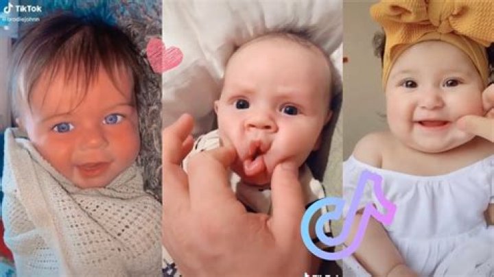 Maverick TikTok Baby: The Phenomenon Taking Over Social Media