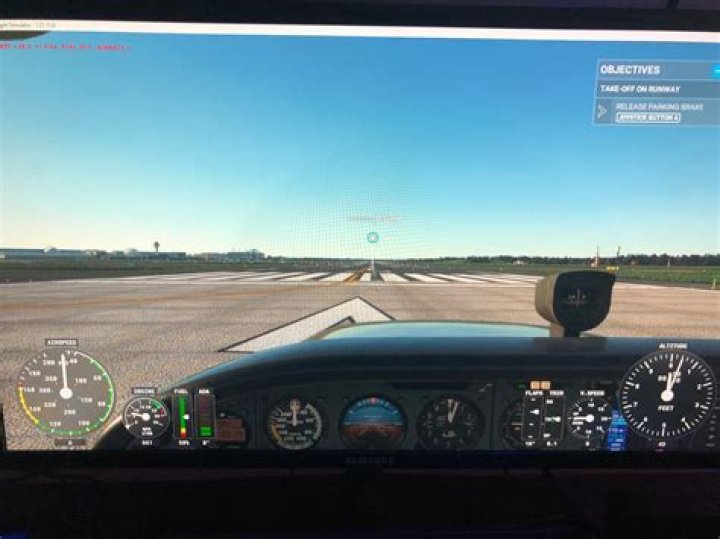 
Microsoft Flight Simulator – How to Increase/Decrease Speed