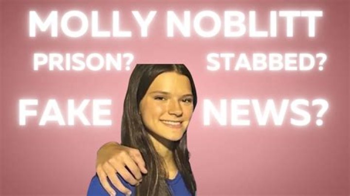 Molly Noblitt Getting Stabbed: A Deep Dive into the Incident and Its Aftermath