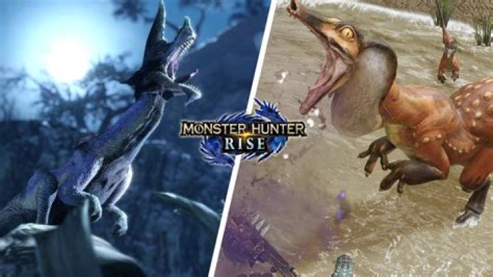 
Monster Hunter Rise: How to Get Bird Wyvern Gem