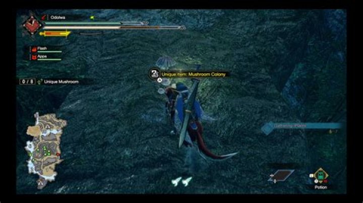 
Monster Hunter Rise – Where To Find Unique Mushrooms