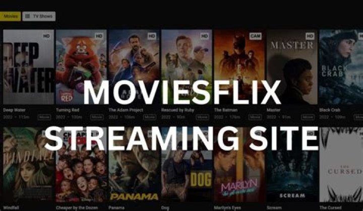 Exploring moviesflix.hair: What You Really Need to Know About Streaming