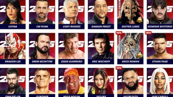 
NXT Divas Will Not Be In WWE 2K16 Even As DLC