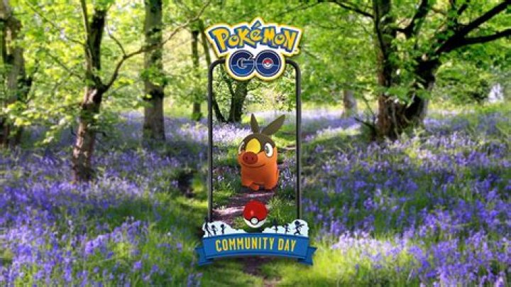 
Pokémon GO – Tepig Community Day Guide, Everything you Need to Know
