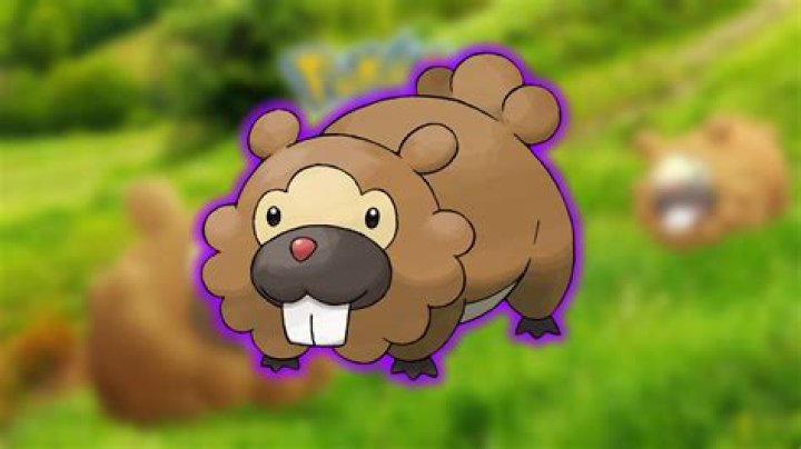 
Pokémon GO – Which Team GO Rocket Grunt has Shadow Bidoof