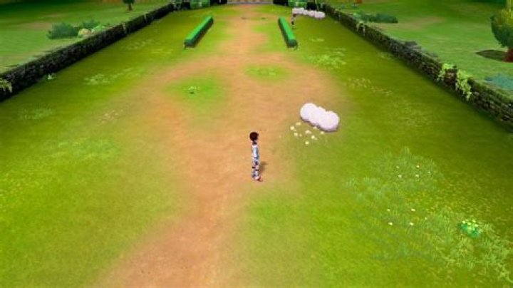 
Pokemon Sword and Shield – How To Complete The Turffield Gym Mission