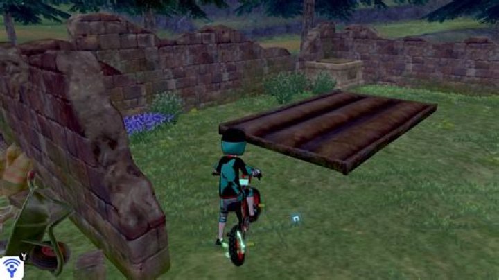 
Pokemon The Crown Tundra – Where To Plant Carrot Seeds