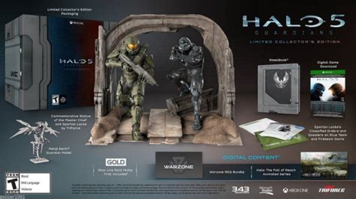 
Reason Halo 5: Guardians Limited Collector’s Edition Has No Physical Copy