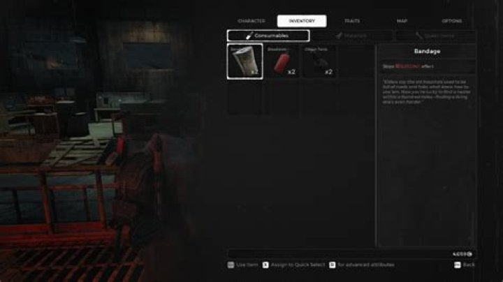 
Remnant: From the Ashes – How to Stop Bleeding