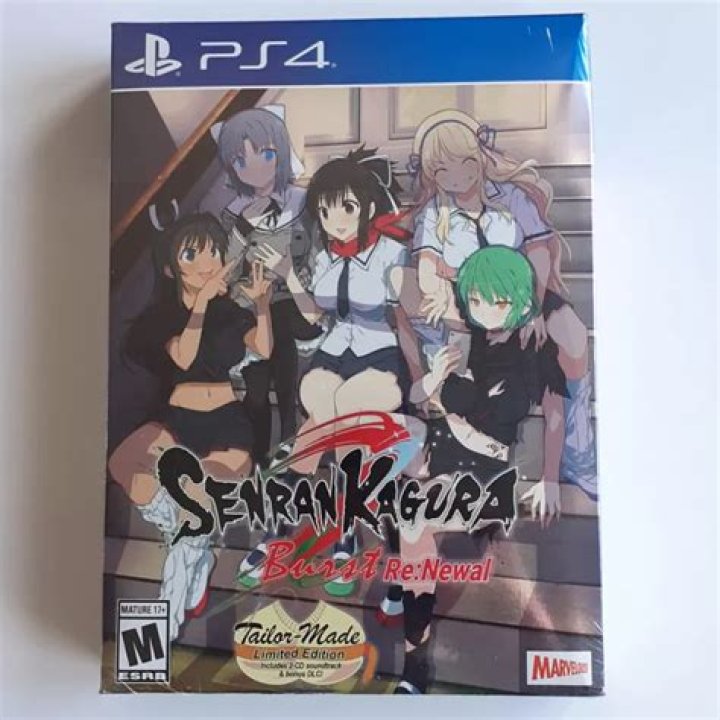 
Senran Kagura Burst Re:Newal Is The Latest Game To Get Censored On The PS4