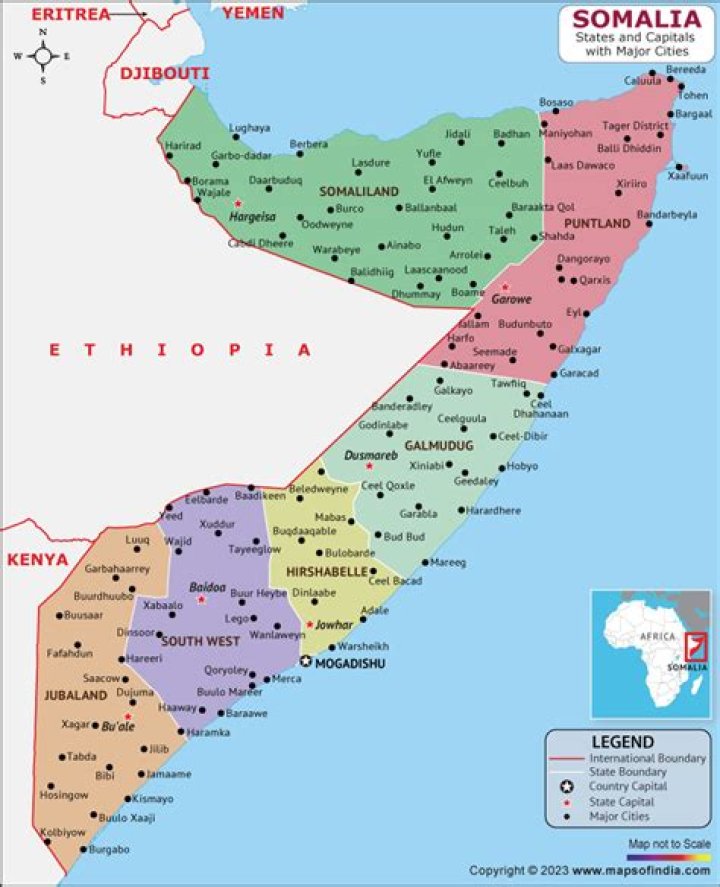 The Bright Future: Exploring the Potential of Somali Wasm for Digital Growth