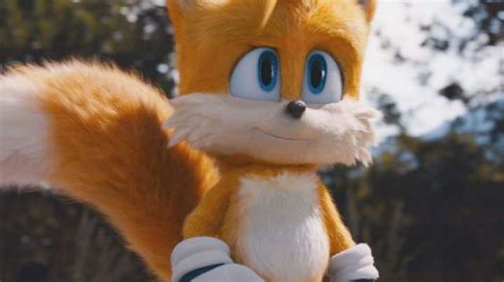 
Tails Voice Actor Not In Sonic Prime