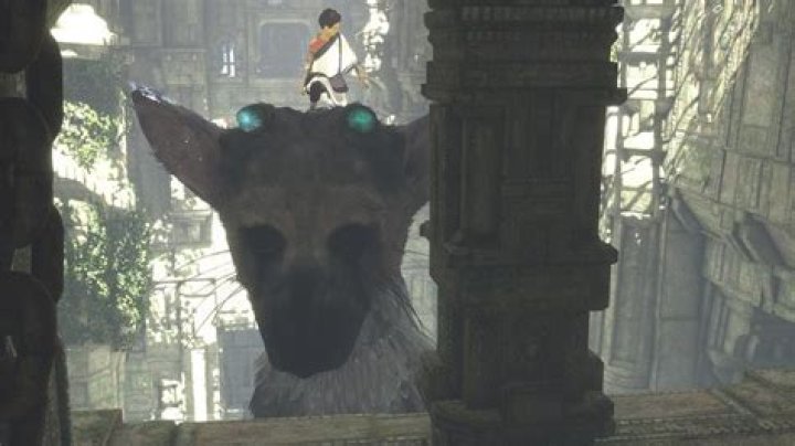 
The Last Guardian Guide: General Hints And Tips