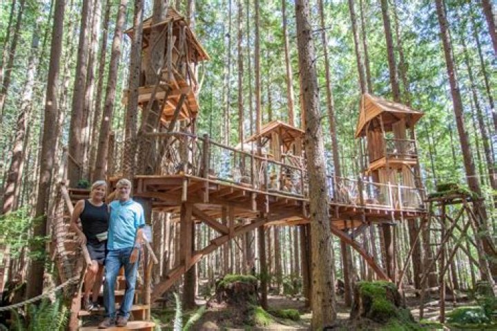 The End of an Era: What "Treehouse Masters Death" Really Means