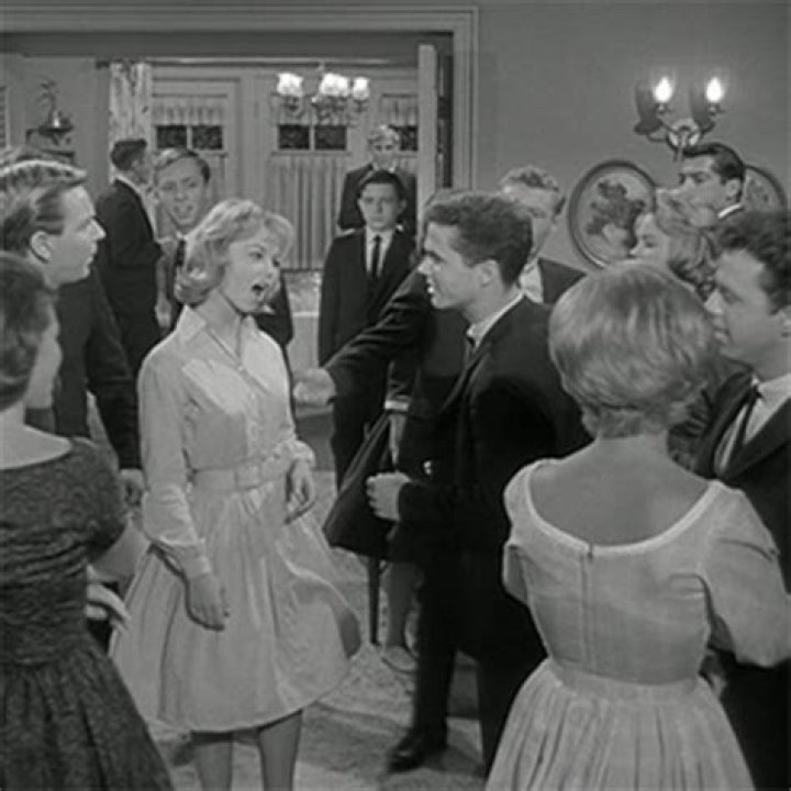 Vicky Albright Leave It to Beaver: A Comprehensive Exploration