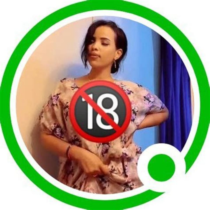 Wasmo Telegram: Your Ultimate Guide to the Revolutionary Messaging Platform