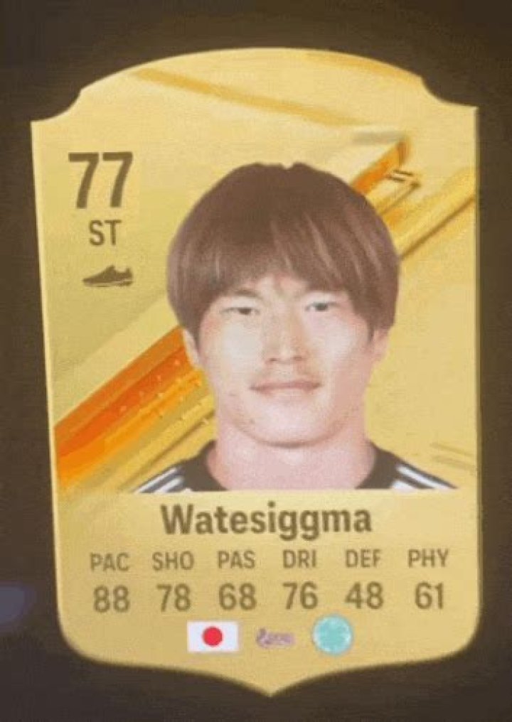 Wattesigma Soccer Player: The Rising Star in the World of Football