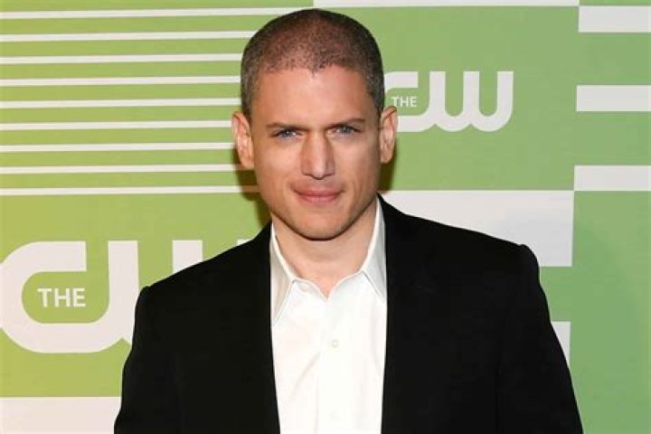 Wentworth Miller Net Worth: What He's Earned From Screen to Script