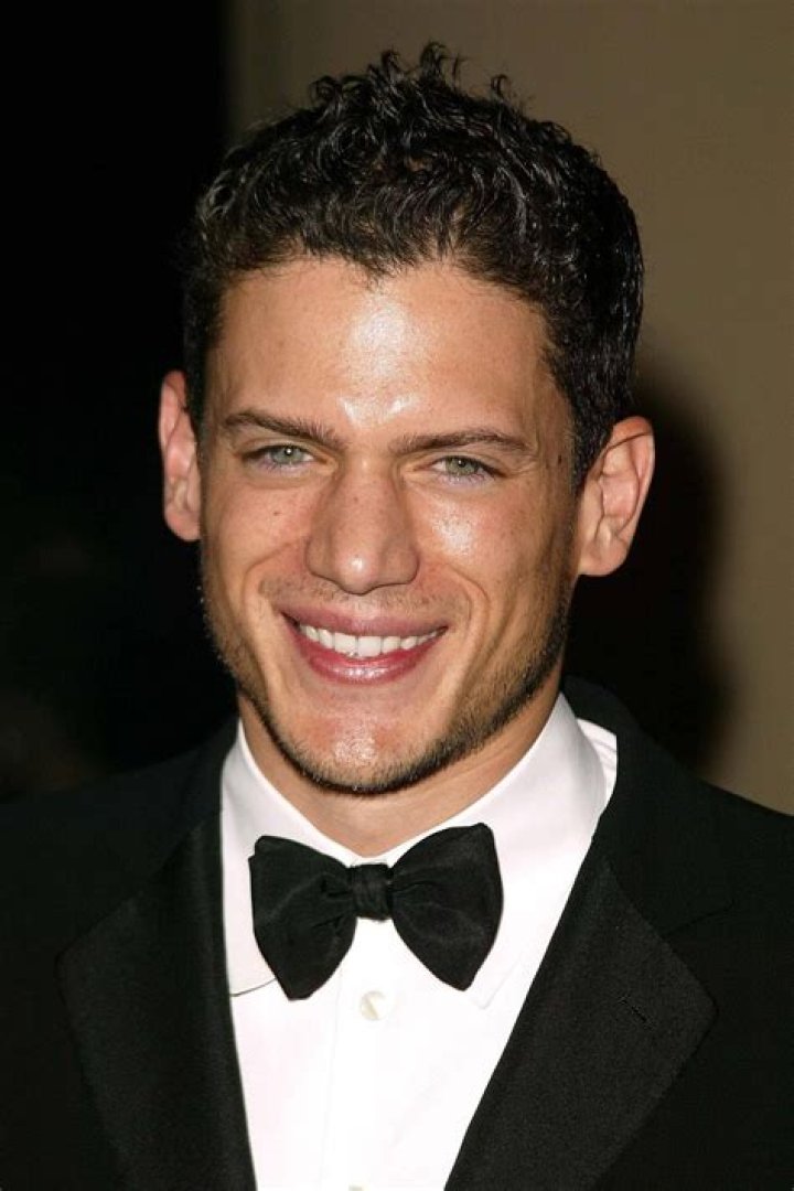 Discovering Wentworth Miller: A Look at the Compelling Actor