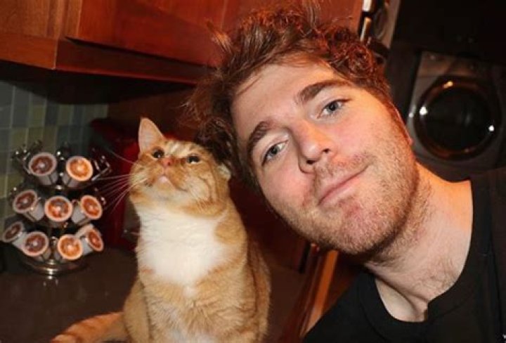 What Did Shane Dawson Do to His Cats? Revisiting a Controversial Past