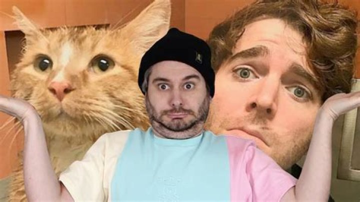 Understanding What Did Shane Dawson Do to the Cat: The Full Story