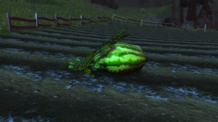 What Do Odd Melons Do in WoW Classic: Season of Discovery (SoD)?