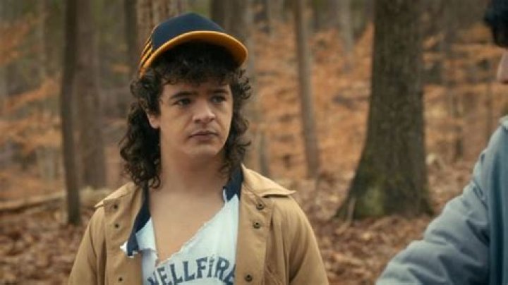 Unpacking What Does Dustin Have Wrong With Him? The Truth About Stranger Things' Beloved Character