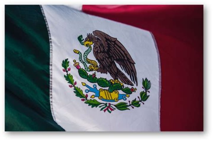 What Does Vega Mean in Mexico? Unraveling the Grammar Behind the Question