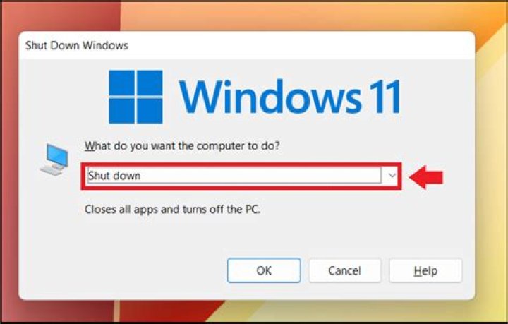 What is the First Organ to Shut Down When Dying? Understanding the Body's Natural Process