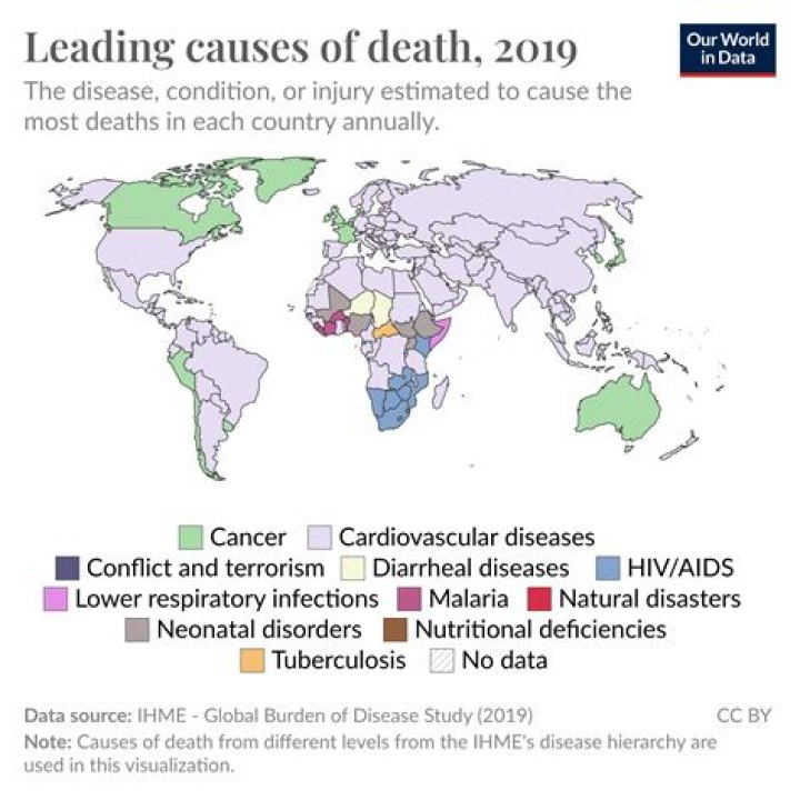 Understanding the Leading Causes of Death in Somalia: A Deep Dive