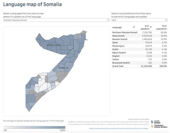 Unraveling Somalia's Linguistic Tapestry: What Languages Are Spoken?