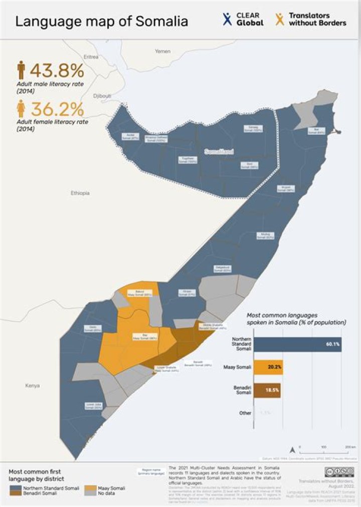 Unraveling the Tongues of Somalia: What Languages Are Spoken?