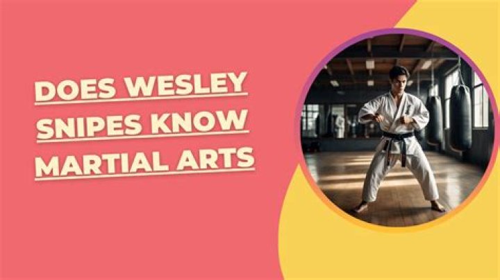 Where Did Wesley Snipes Learn Martial Arts? Unpacking His Real Skills