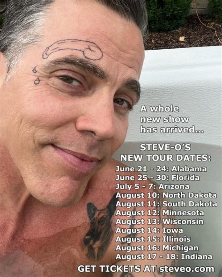Where Does Steve-O Live Now? Unpacking the Jackass Star's Home Base