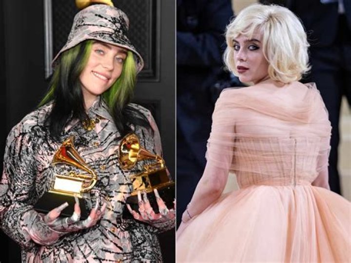 Who is Billie Eilish's Doppelganger? Uncovering the Uncanny Resemblances