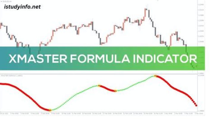Finding Fresh Fun: What xhmaster Offers You