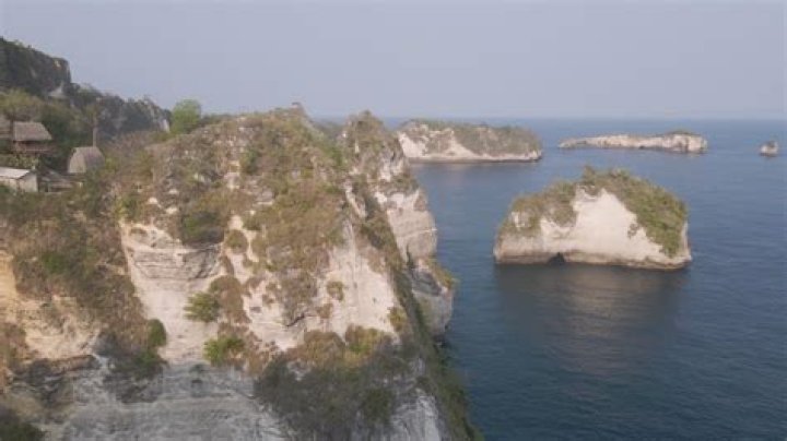 Understanding xxxxc: Exploring Its Impact and Future Directions