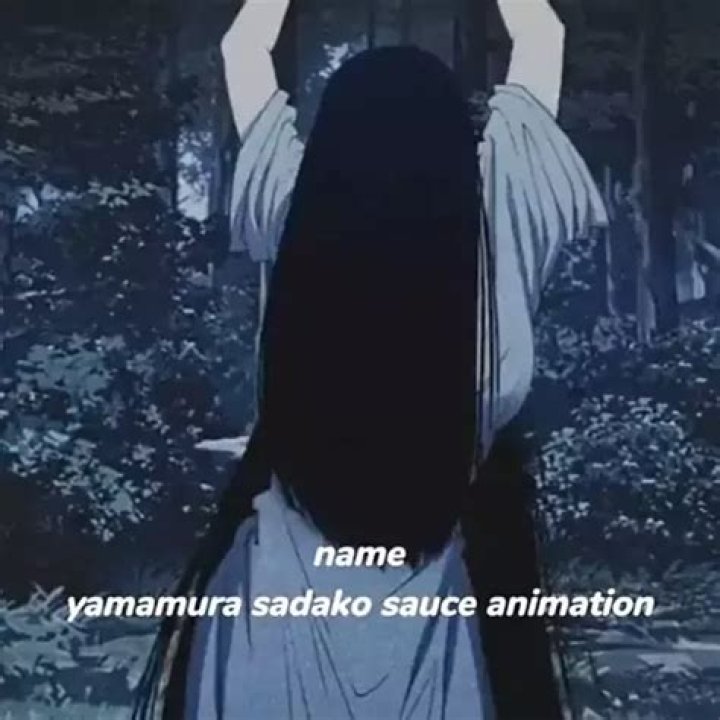 Yamamura Sadako Sauce Animation: A Comprehensive Guide