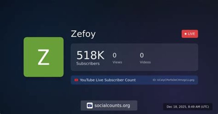 Zefoy YouTube: What's Happening with TikTok Growth Tools?